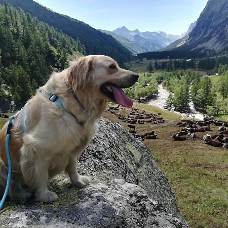 Casa Lucy Apartment Aosta Luaran gambar